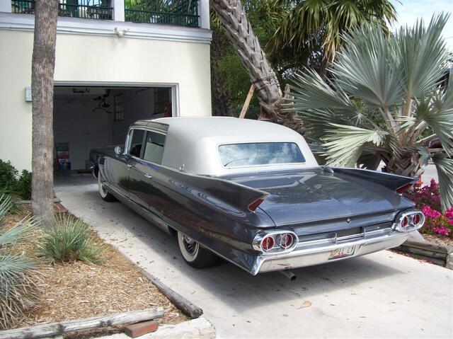 100_1245 (Large).JPG