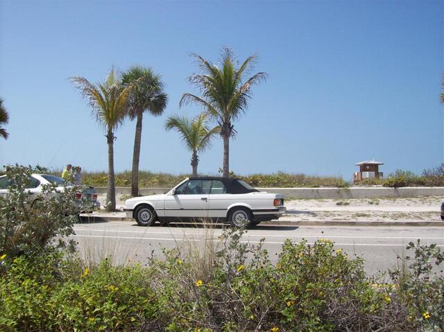 100_1457 (Large).JPG