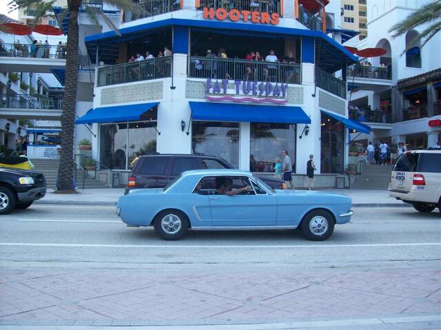 100_2282 (Large).JPG