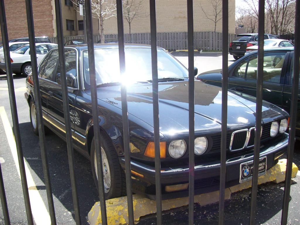 100_2497 (Large).JPG
