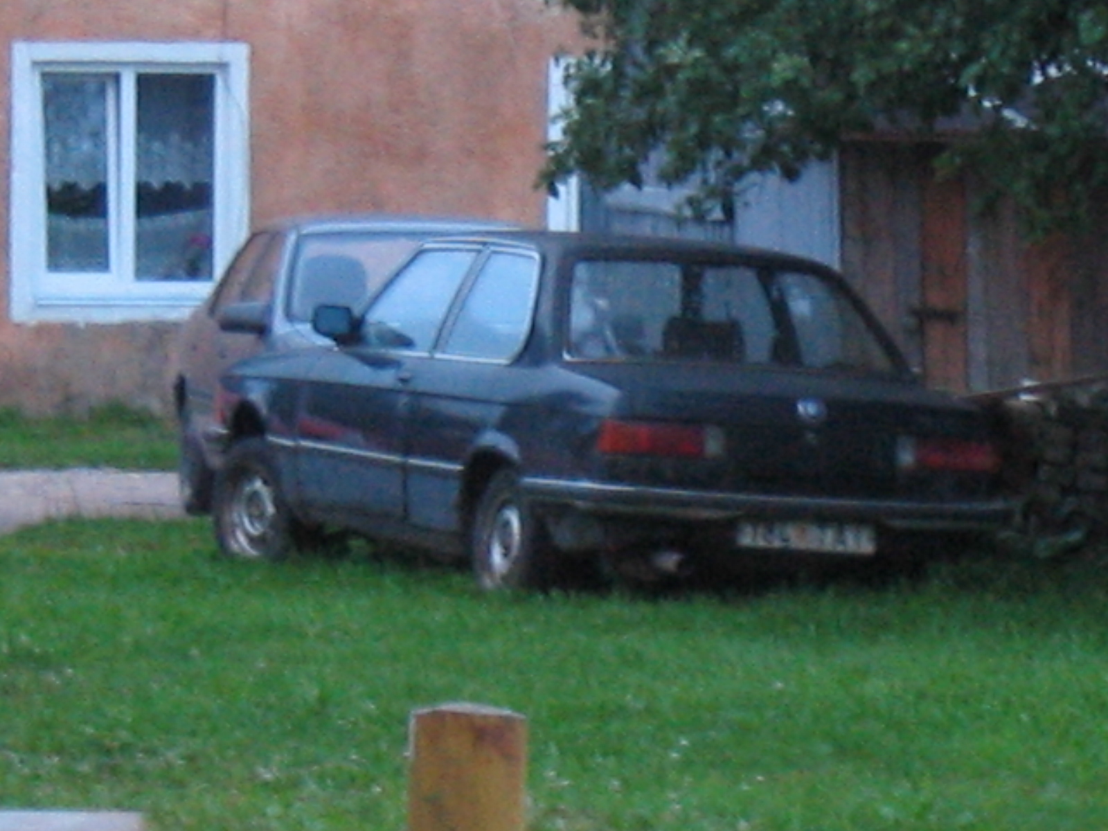 IMG 7948