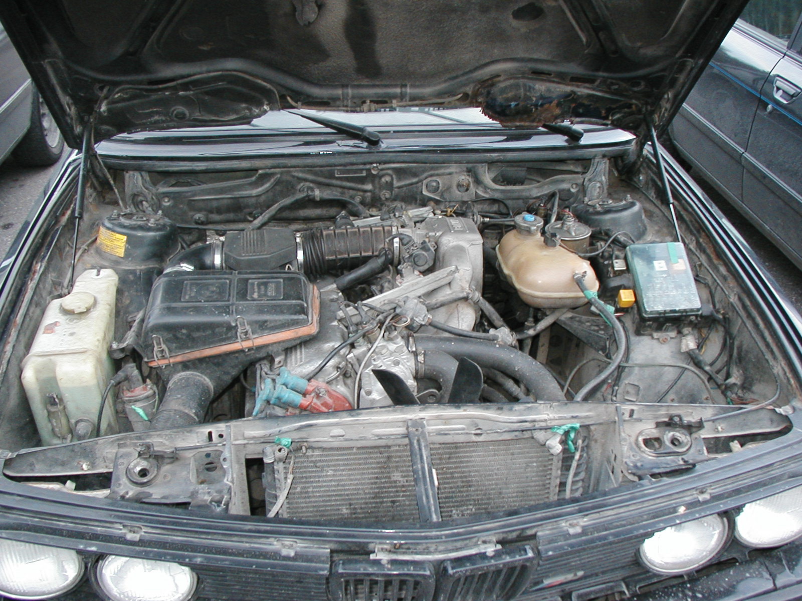indreku m535