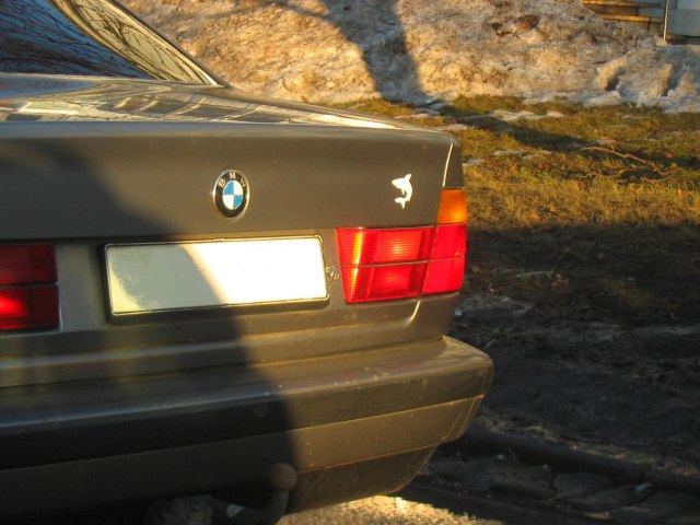 IMG 0762