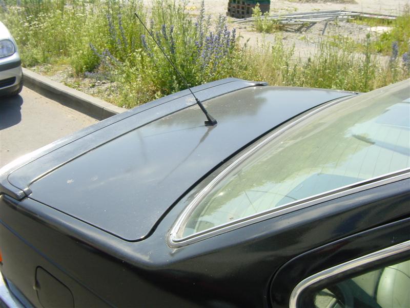 DSC04402 (Medium)