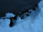 IMG_3837.jpg