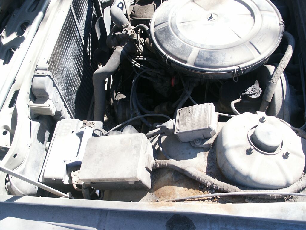 PICT0031.jpg
