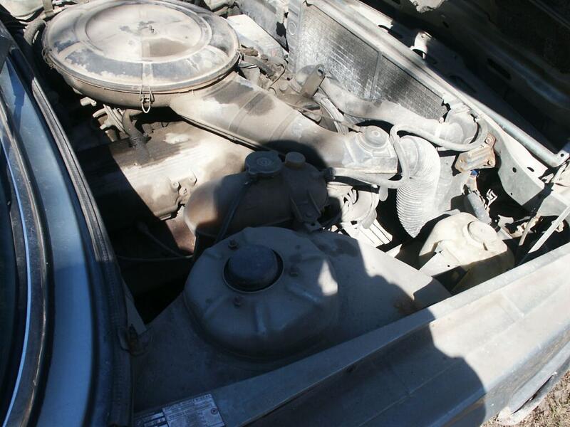 PICT0033.jpg