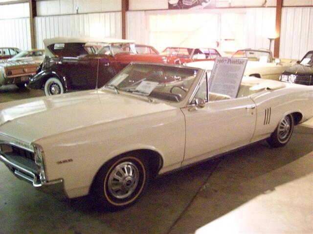 100_1334 (Large).JPG