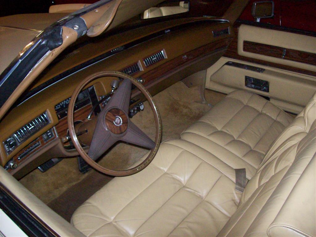 100_1337 (Large).JPG