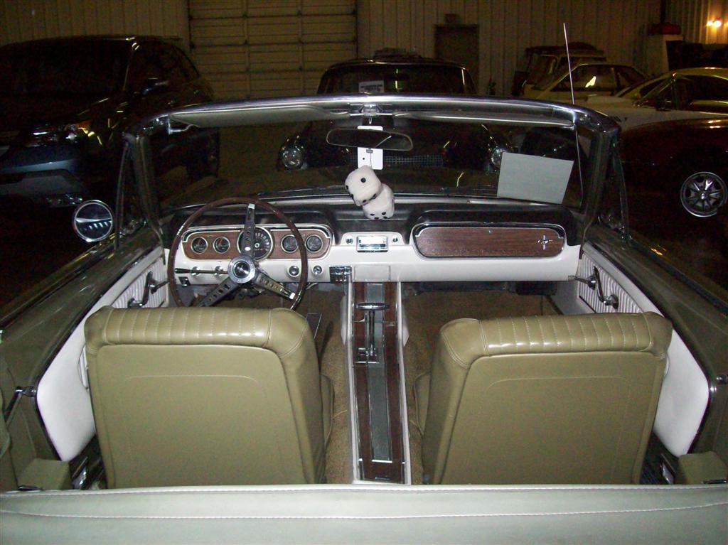 100_1342 (Large).JPG