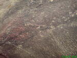 DSC00793.JPG