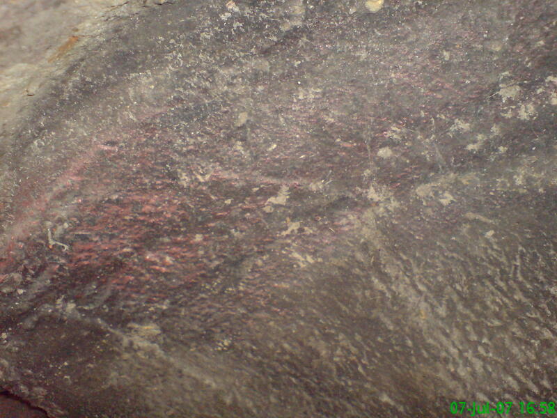DSC00793.JPG