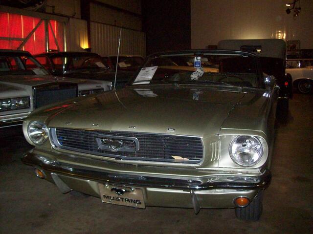 100_1343 (Large).JPG