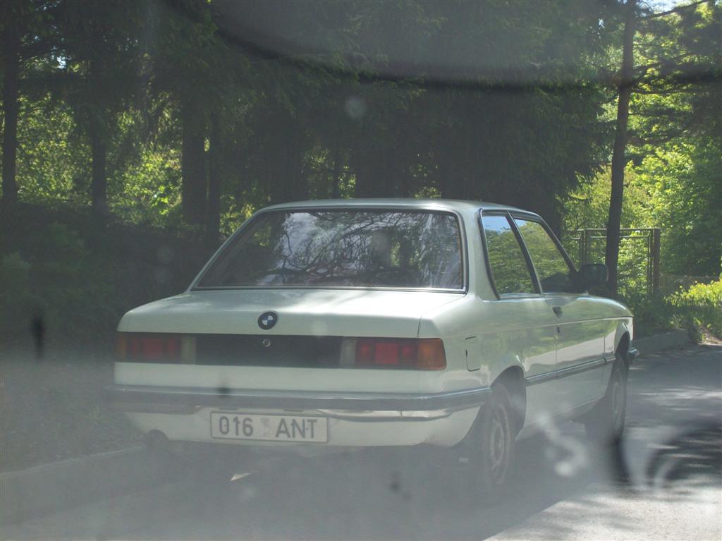 100 0464 (Large)
