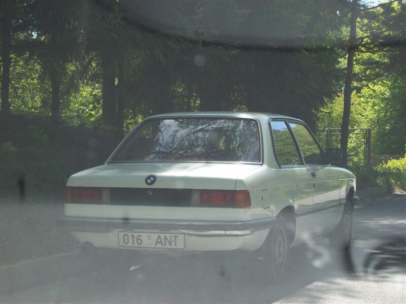 100 0464 (Large)