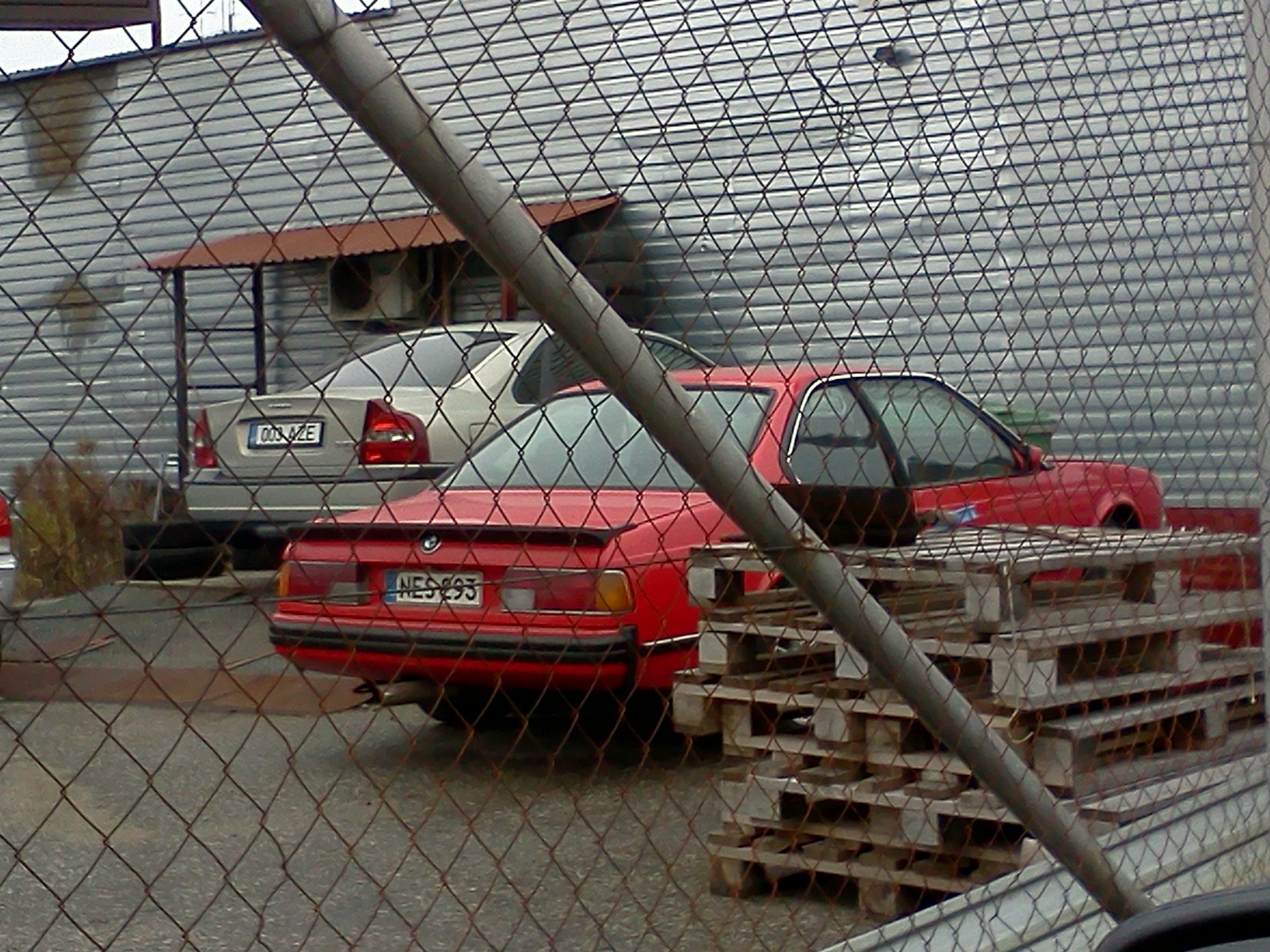 IMG356.jpg
