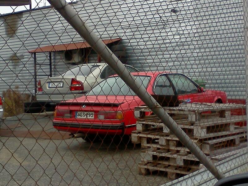 IMG356.jpg