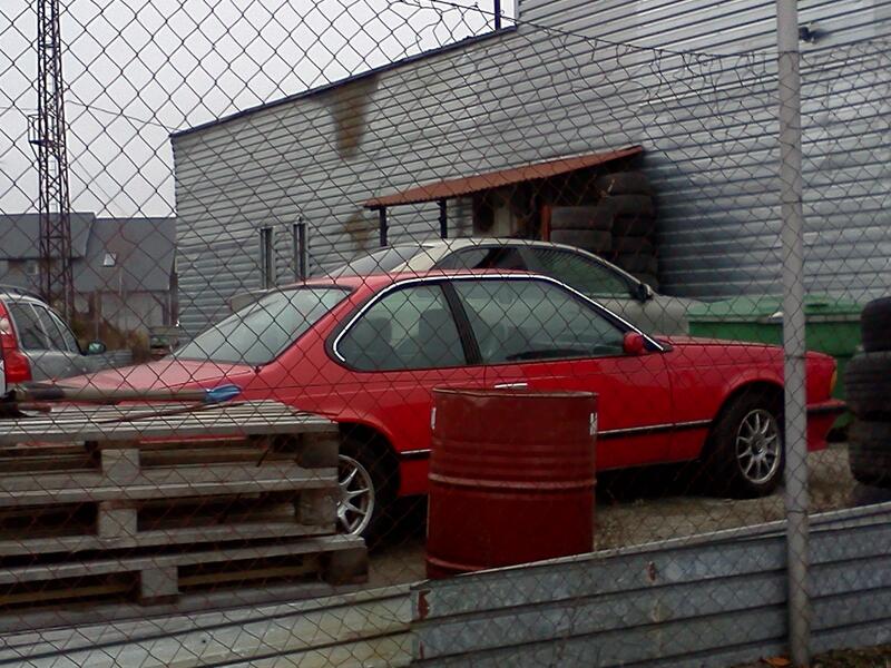 IMG358.jpg