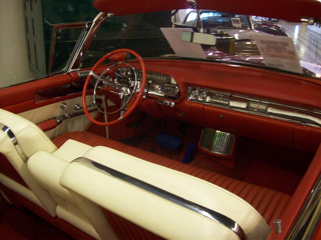 100_1398 (Large).JPG