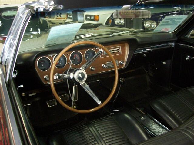 100_1416 (Large).JPG