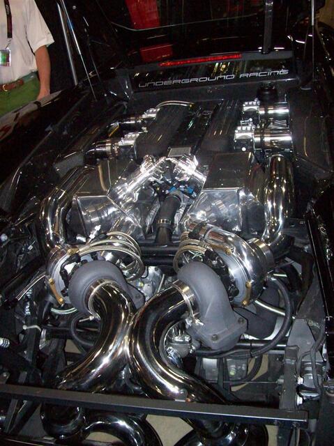 100_1751 (Large).JPG
