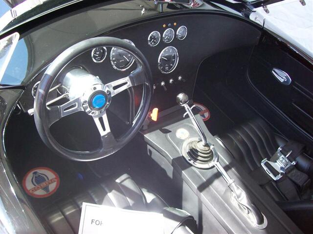 100_1781 (Large).JPG