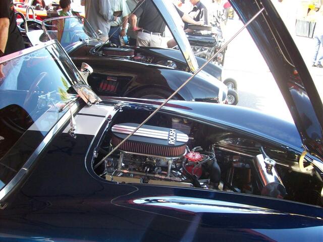 100_1817 (Large).JPG