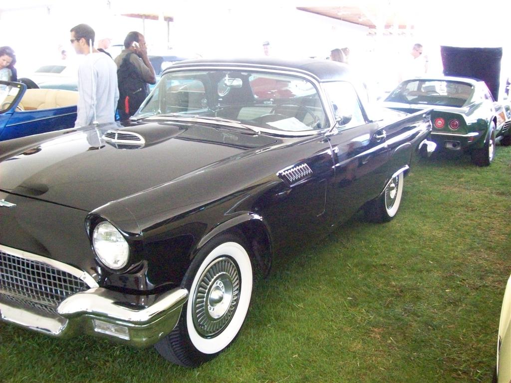 100_1845 (Large).JPG