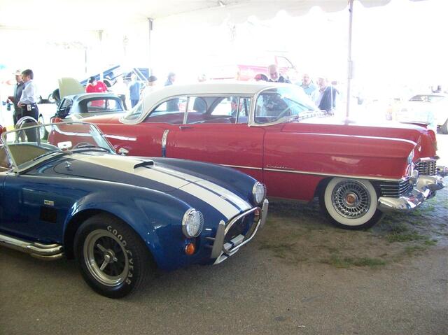 100_1864 (Large).JPG