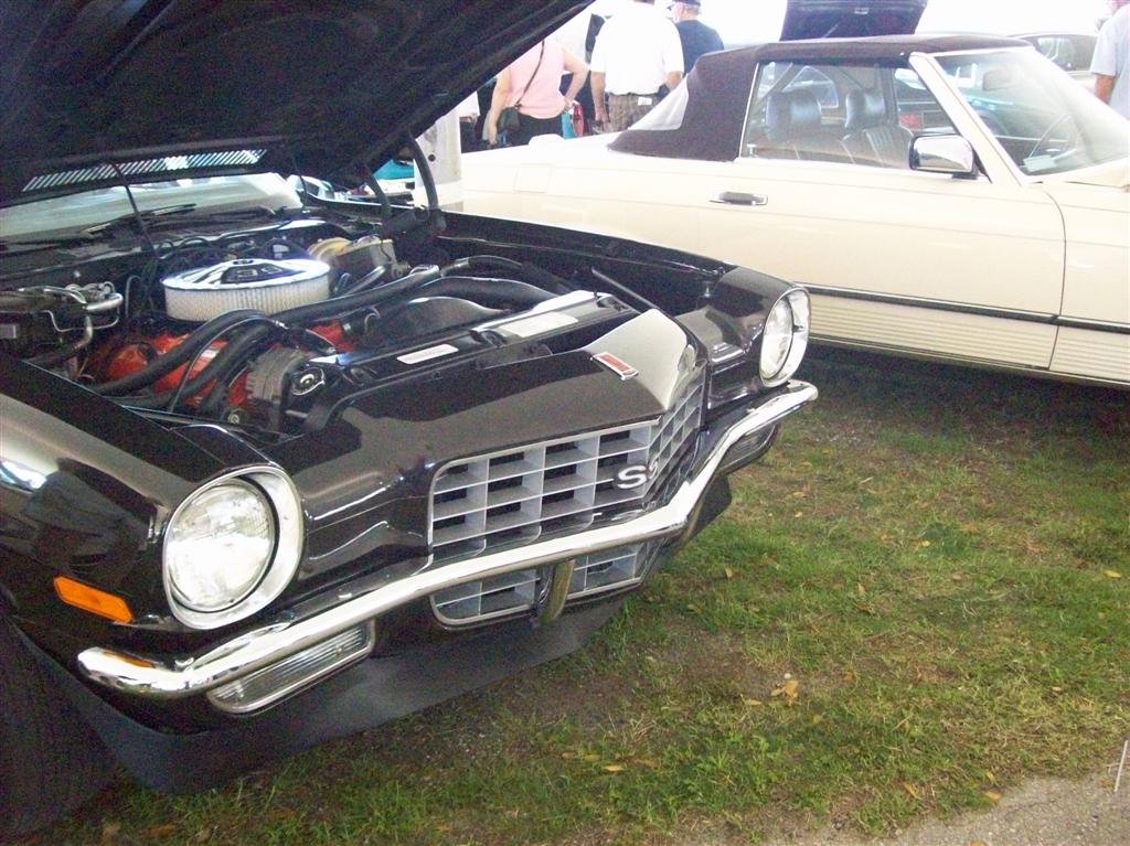 100_1868 (Large).JPG