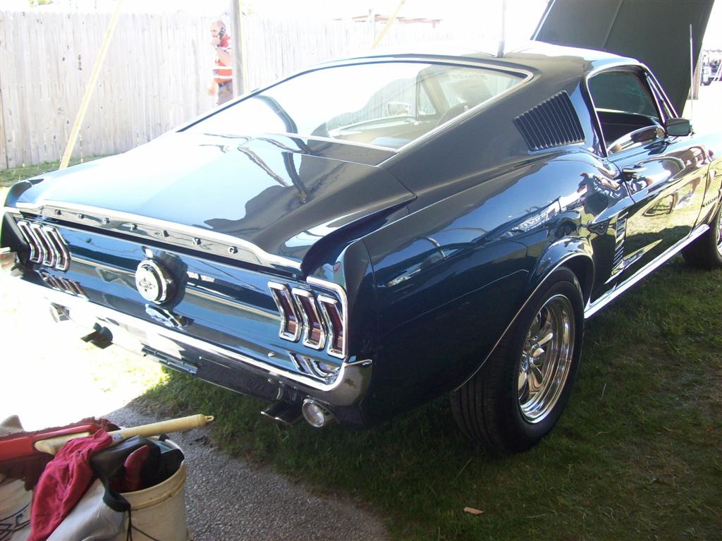 100_1874 (Large).JPG