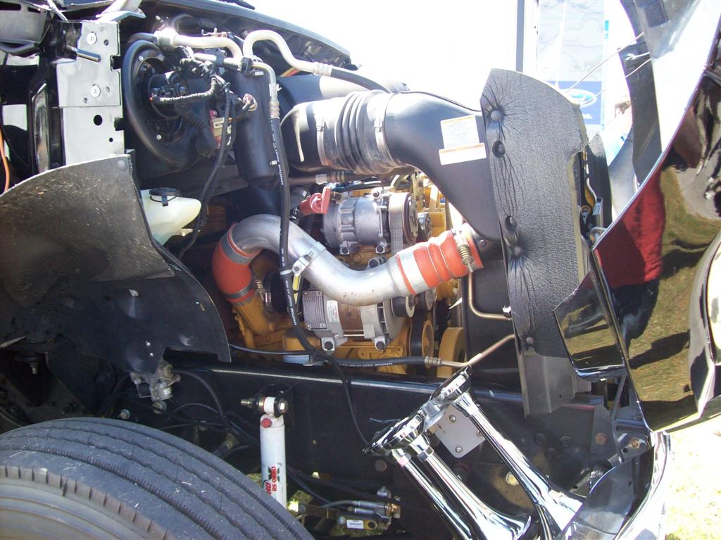 100_1879 (Large).JPG