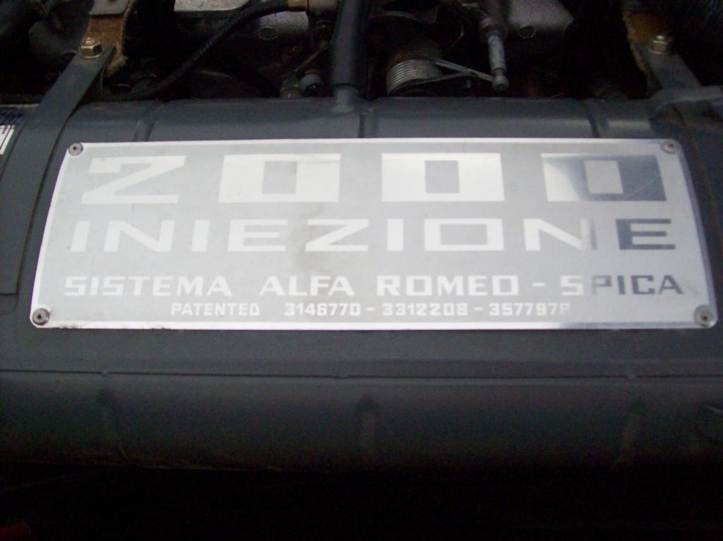 100_1891 (Large).JPG