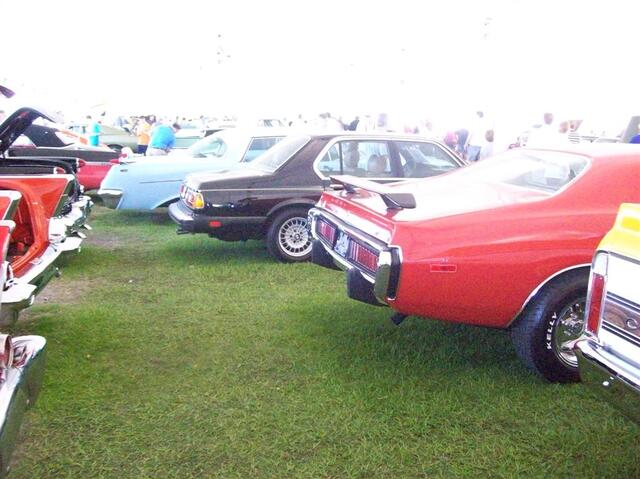 100_1906 (Large).JPG