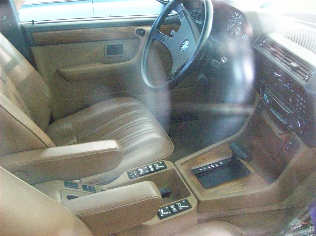 100_1910 (Large).JPG