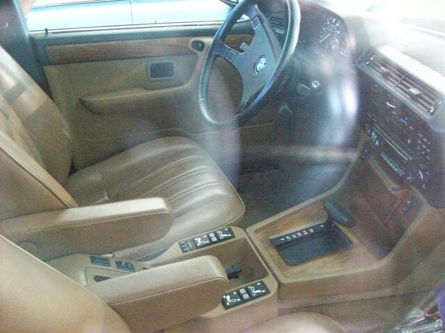 100_1910 (Large).JPG