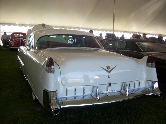 100_1920 (Large).JPG