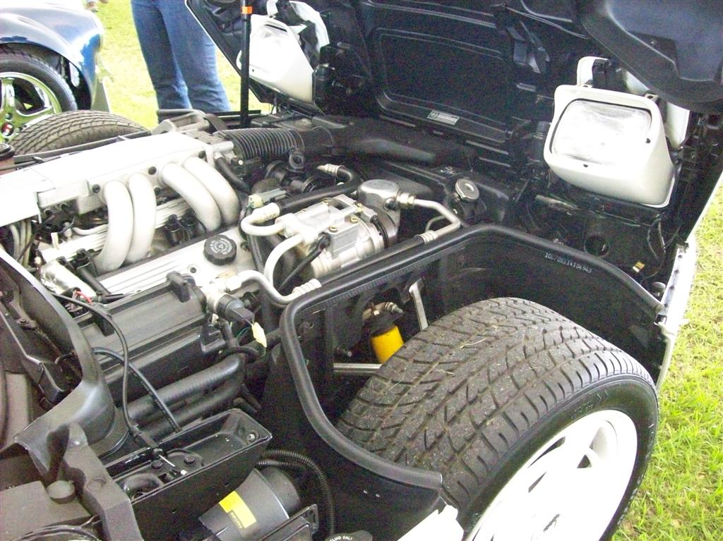 100_1926 (Large).JPG
