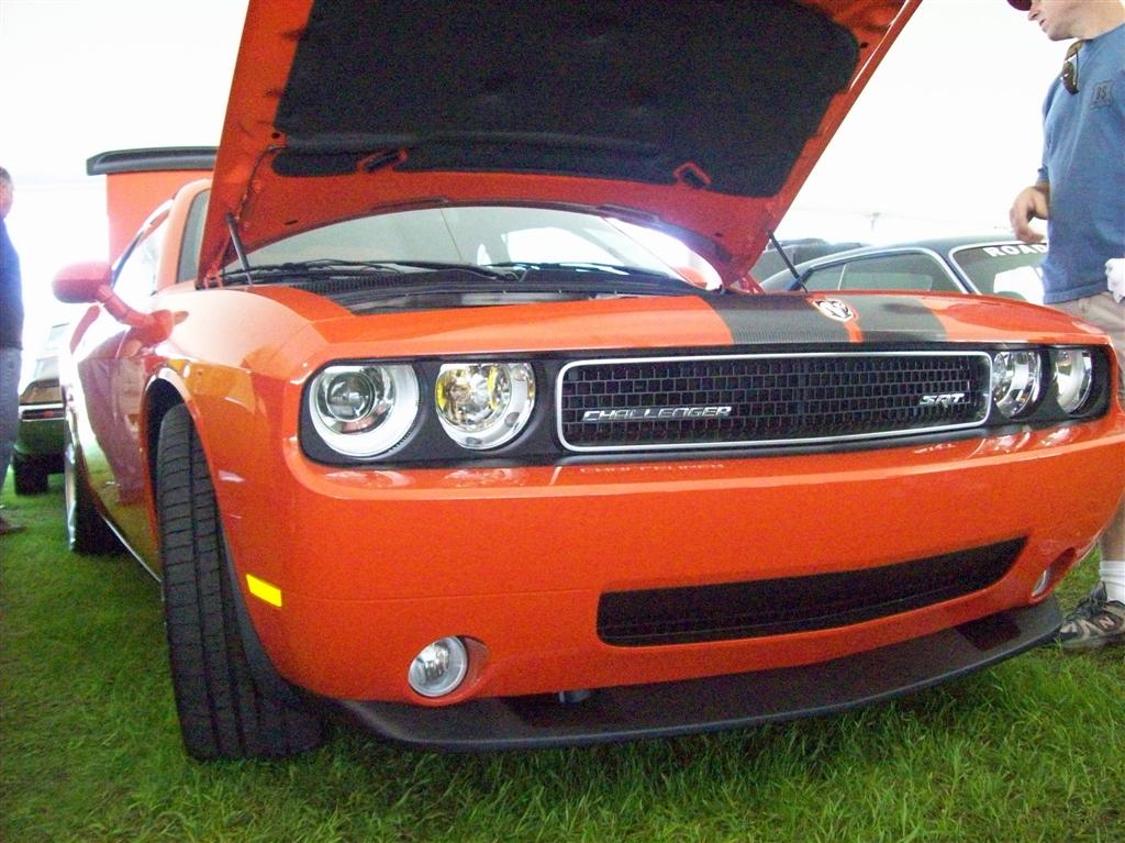 100_1934 (Large).JPG