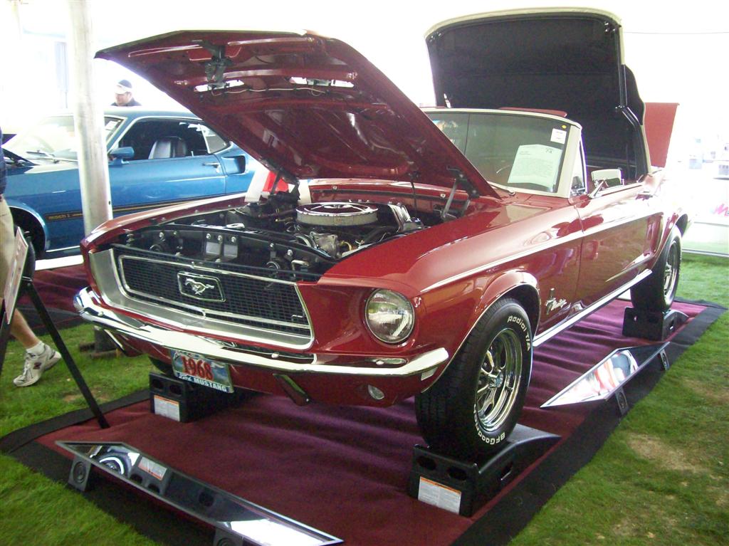 100_1954 (Large).JPG