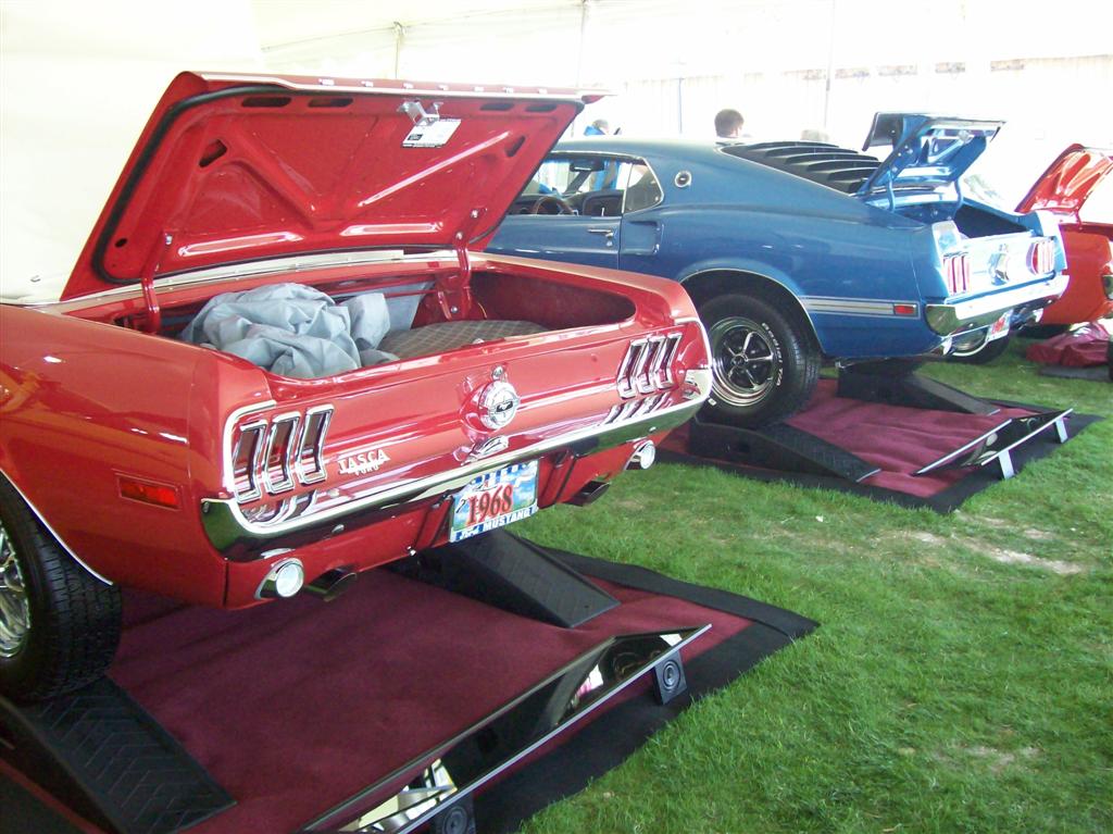 100_1955 (Large).JPG