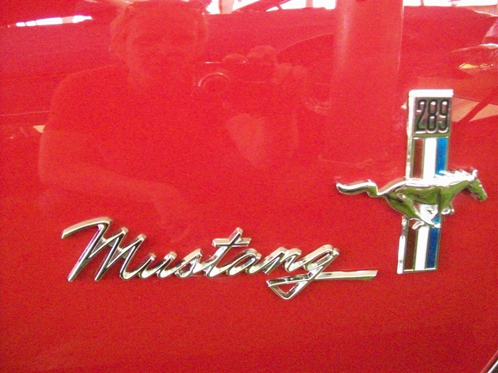 100_1956 (Large).JPG