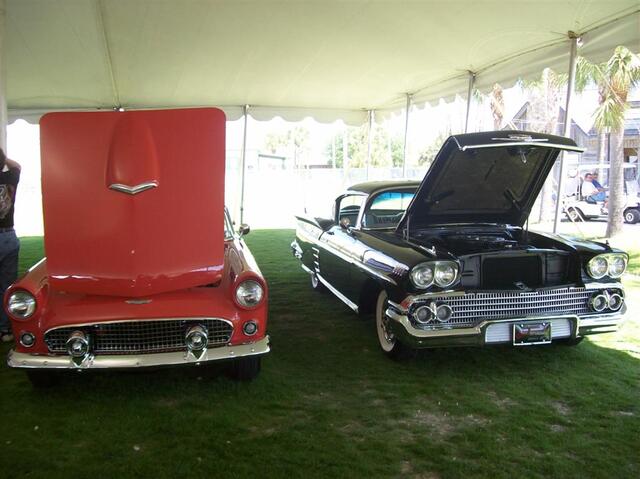 100_1958 (Large).JPG