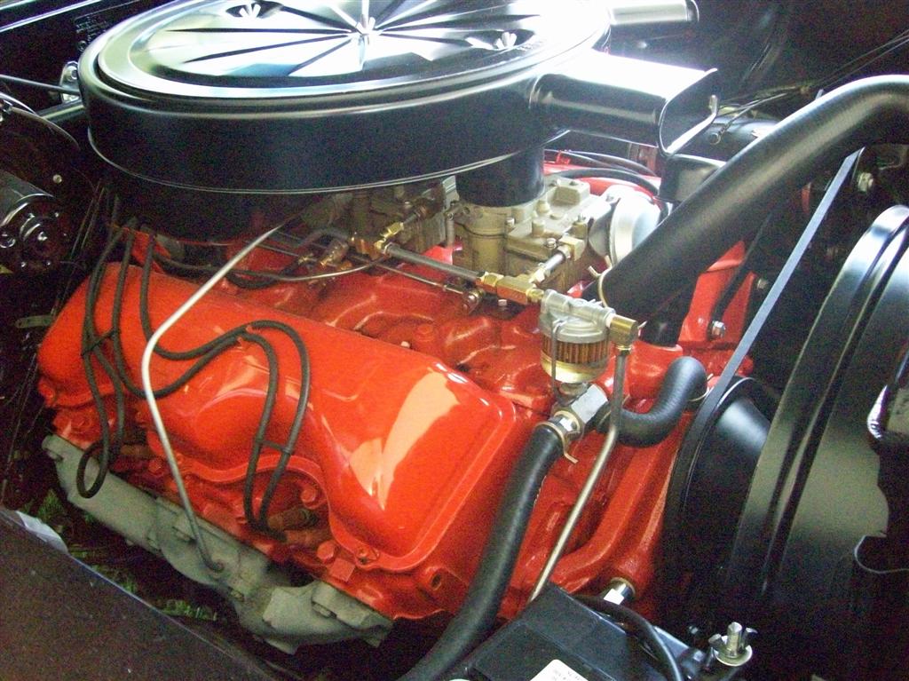 100_1959 (Large).JPG