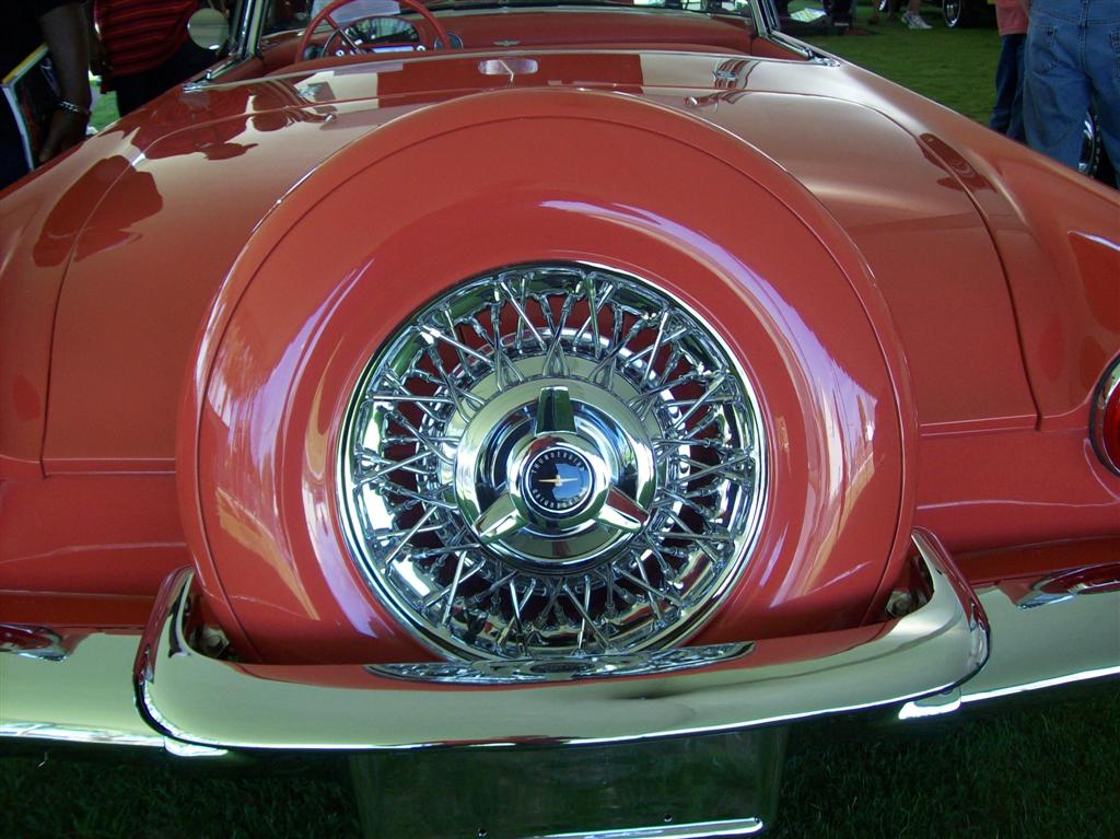 100_1962 (Large).JPG