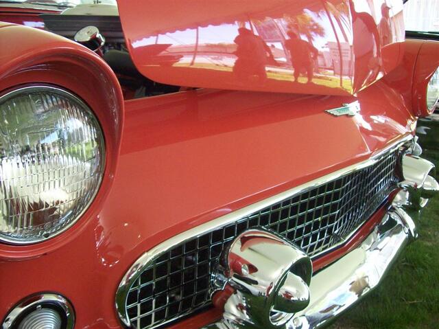 100_1964 (Large).JPG