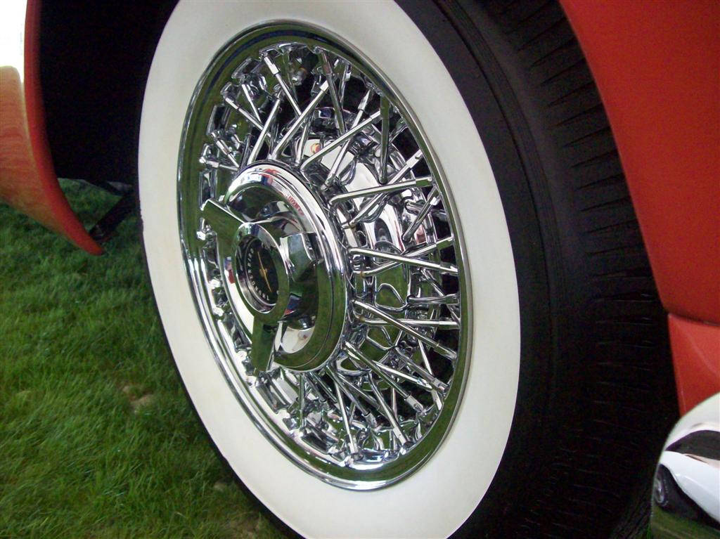 100_1965 (Large).JPG