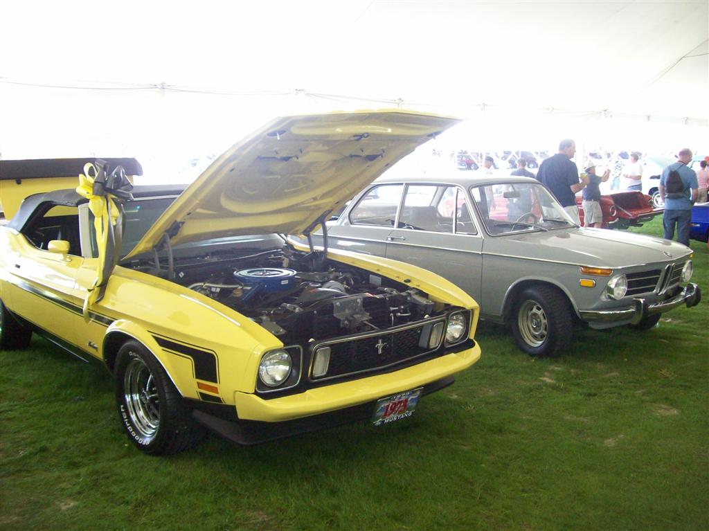 100_1966 (Large).JPG