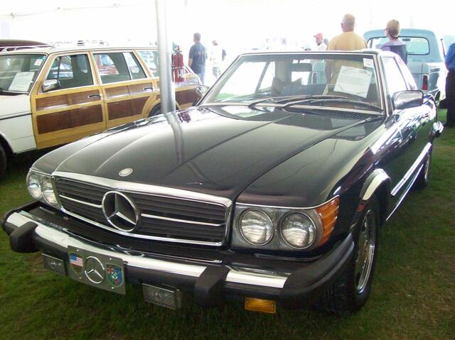 100_1971 (Large).JPG