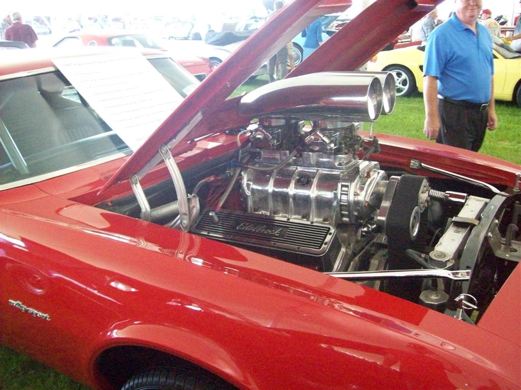 100_1973 (Large).JPG